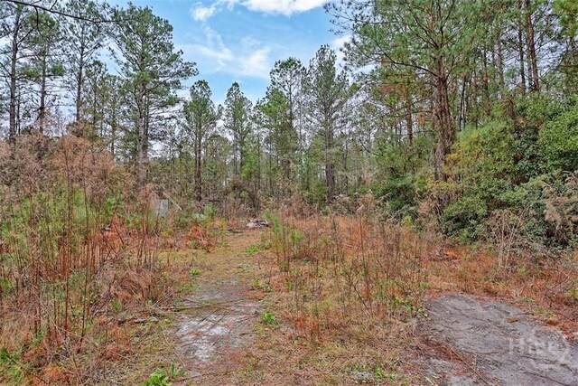 5201 May Rd, Ellabell, GA 31308 - photo 23