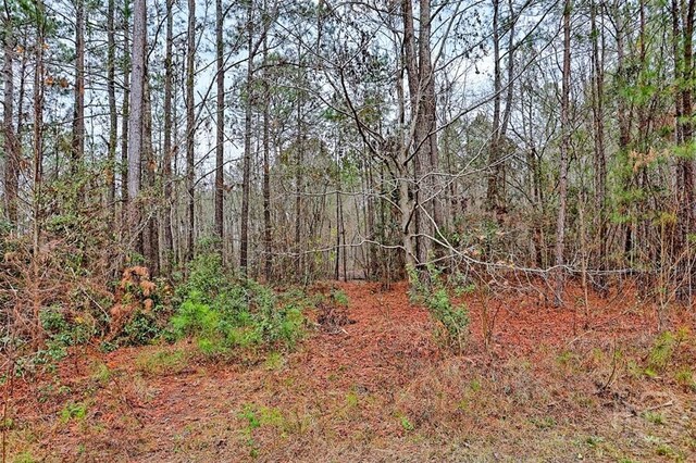 5201 May Rd, Ellabell, GA 31308 - photo 25