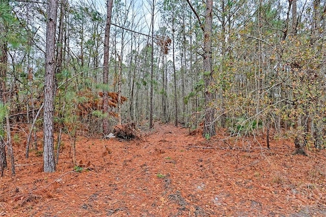 5201 May Rd, Ellabell, GA 31308 - photo 26