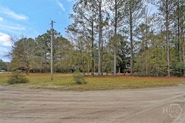 5201 May Rd, Ellabell, GA 31308 - photo 31