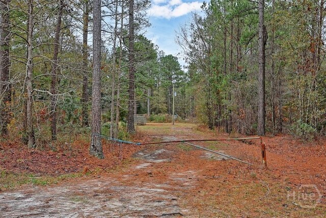 5201 May Rd, Ellabell, GA 31308 - photo 33