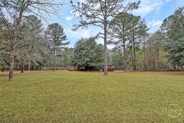 5201 May Rd, Ellabell, GA 31308 - photo 4