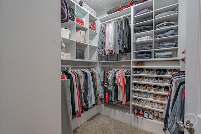 spacious closet with carpet