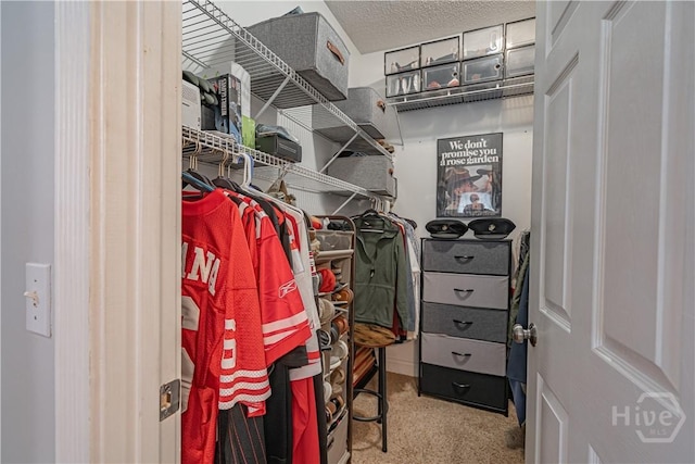 spacious closet featuring carpet floors