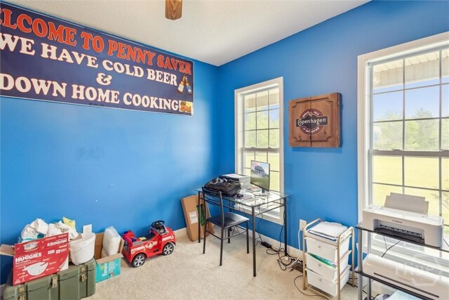 753 Williams-Price Rd, Kite, GA 31049