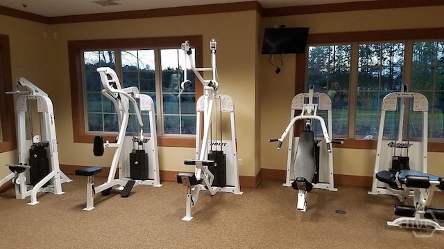 182 Brookline Dr, Savannah, GA 31407 - gym featuring baseboards