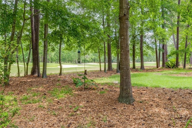 354 Brown Thrush Rd, Savannah, GA 31419 - view of green lawn
