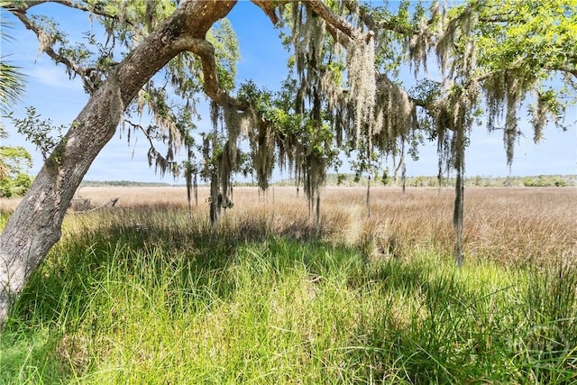 245 Montauk Dr, Richmond Hill, GA 31324 - view of nature featuring rural landscape