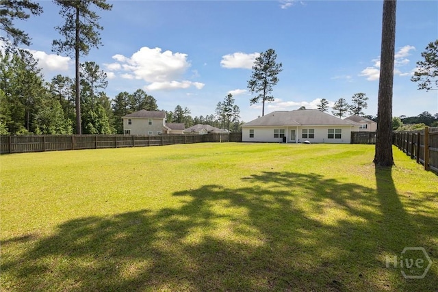 65 Norton St NE, Ludowici, GA 31316 - view of yard