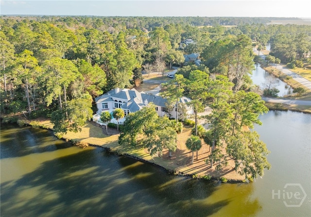 4 Longwater Ln, Savannah, GA 31411 - aerial view of property and surrounding area featuring a heavily wooded area and a large body of water