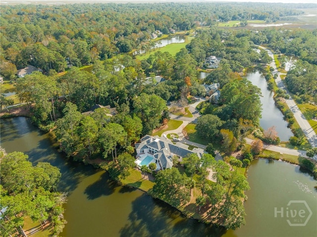4 Longwater Ln, Savannah, GA 31411 - aerial view of property's location featuring a large body of water and a heavily wooded area