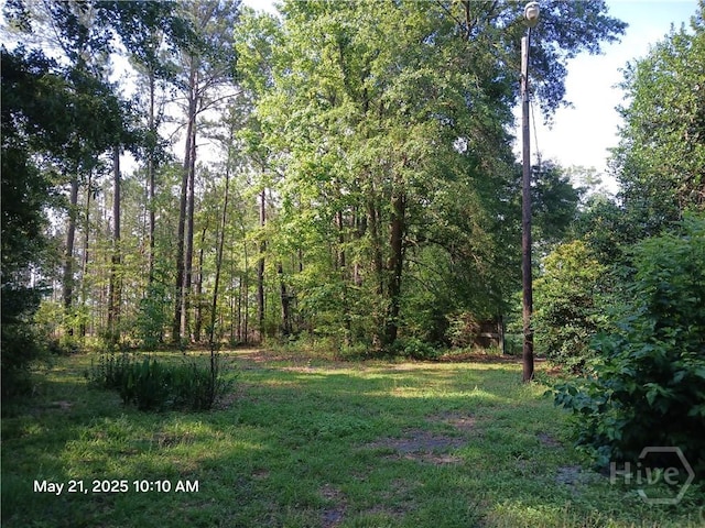 4354 Old Dixie Hwy S, Springfield, GA 31329