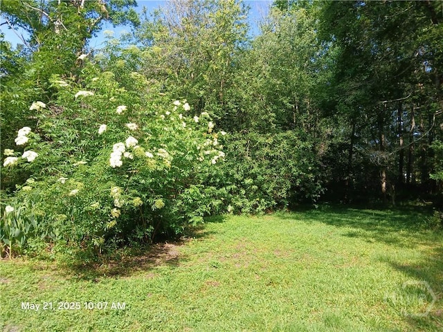 4354 Old Dixie Hwy S, Springfield, GA 31329