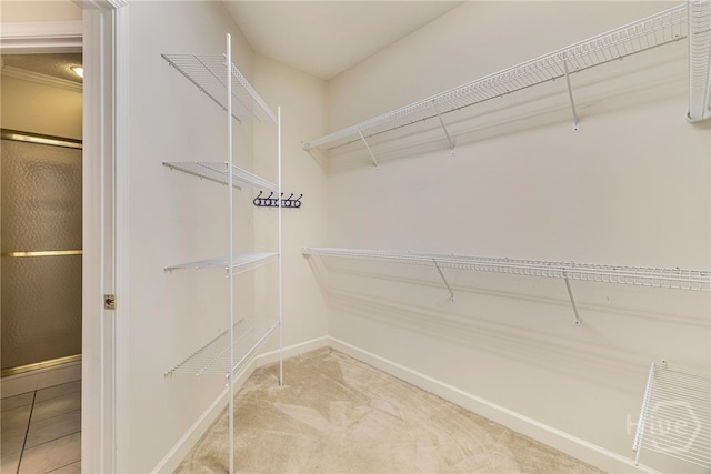 205 Meadowlark Cir, Savannah, GA 31419 - spacious closet featuring carpet floors