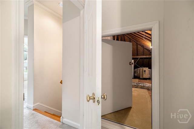 205 Meadowlark Cir, Savannah, GA 31419 - view of closet