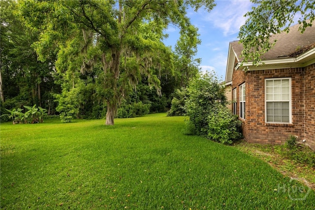 205 Meadowlark Cir, Savannah, GA 31419 - view of green lawn