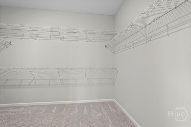 2 Chimney Ct, Savannah, GA 31407 - walk in closet featuring carpet floors