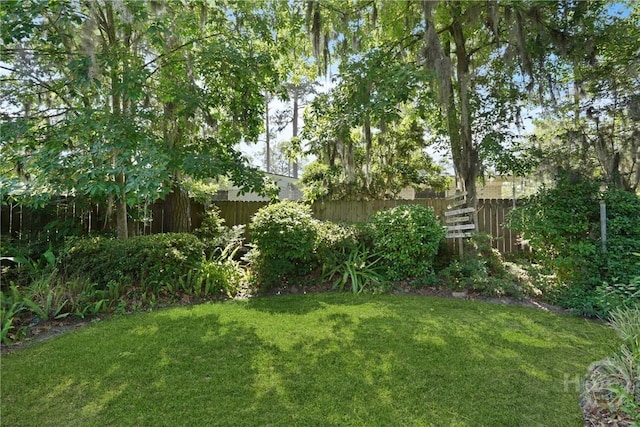 604 Windsor Rd, Savannah, GA 31419 - view of yard