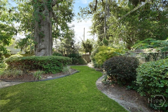604 Windsor Rd, Savannah, GA 31419 - view of yard