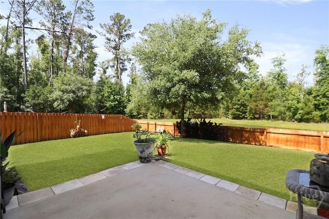 402 Southwilde Way, Pooler, GA 31322 - view of yard featuring a patio