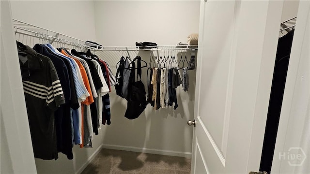 156 Kraft, Pooler, GA 31322 - spacious closet with carpet