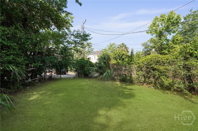 514 W 38th St, Savannah, GA 31415 - view of grassy yard