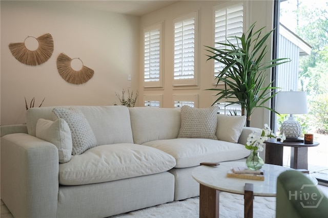 66 Dame Kathryn Dr, Savannah, GA 31411 - view of living area