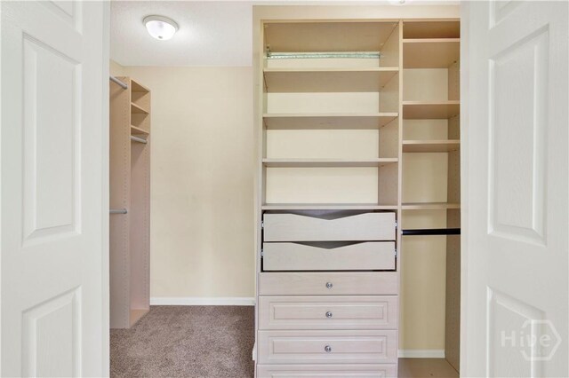 29 Joy Ln, Midway, GA 31320 - spacious closet featuring carpet flooring