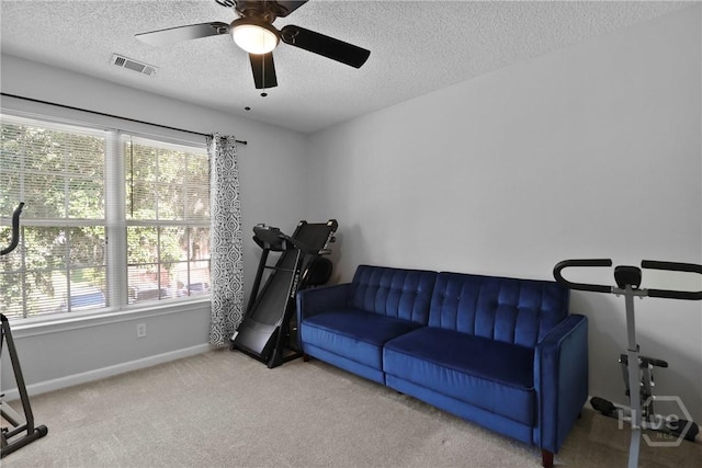 310 Tibet Ave Unit 10, Savannah, GA 31406 - workout room featuring healthy amount of natural light, ceiling fan, carpet floors, a textured ceiling, and baseboards