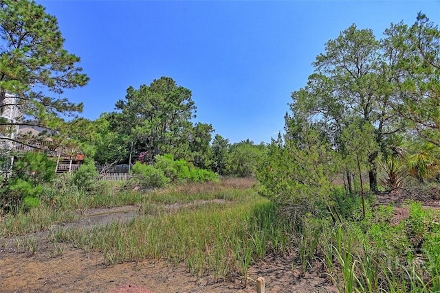 98 Picket Row, Savannah, GA 31410 - view of local wilderness