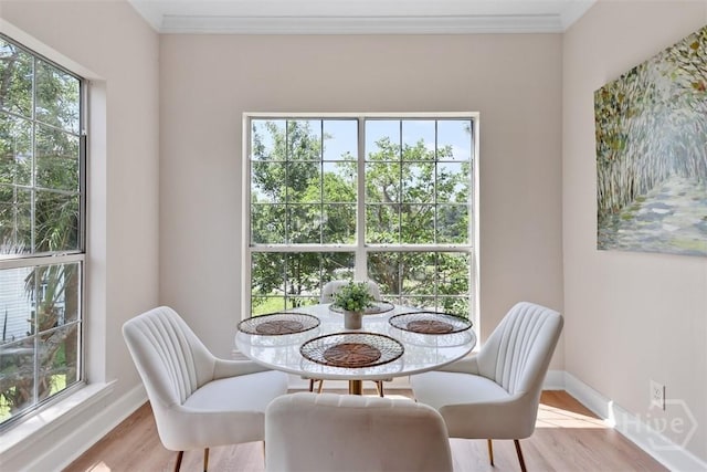 98 Picket Row, Savannah, GA 31410 - dining area featuring wood finished floors, crown molding, and baseboards