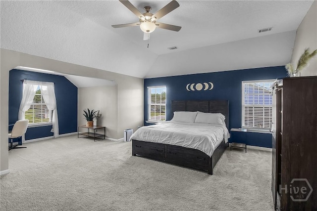 26 Sunflower Cir NE, Ludowici, GA 31316 - bedroom with carpet floors, baseboards, vaulted ceiling, multiple windows, and a textured ceiling
