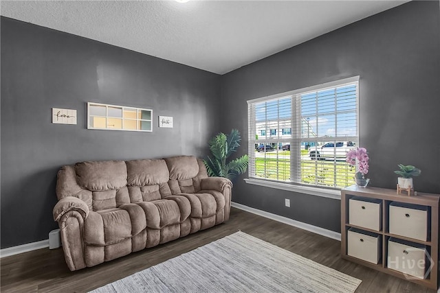 26 Sunflower Cir NE, Ludowici, GA 31316 - living area with dark wood finished floors and baseboards
