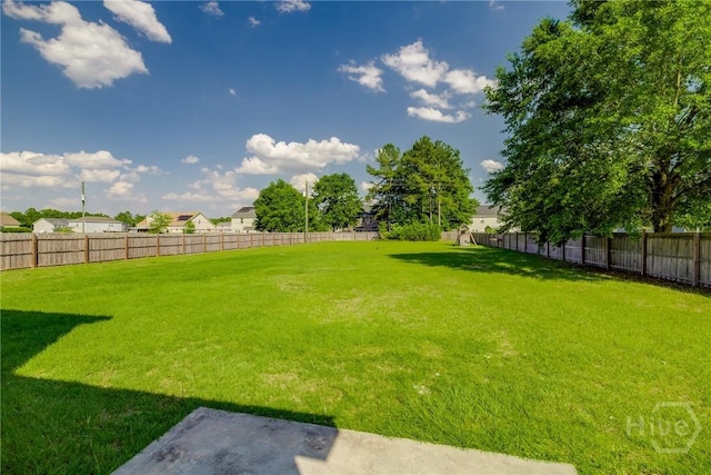 447 Nease Rd, Guyton, GA 31312 - view of yard