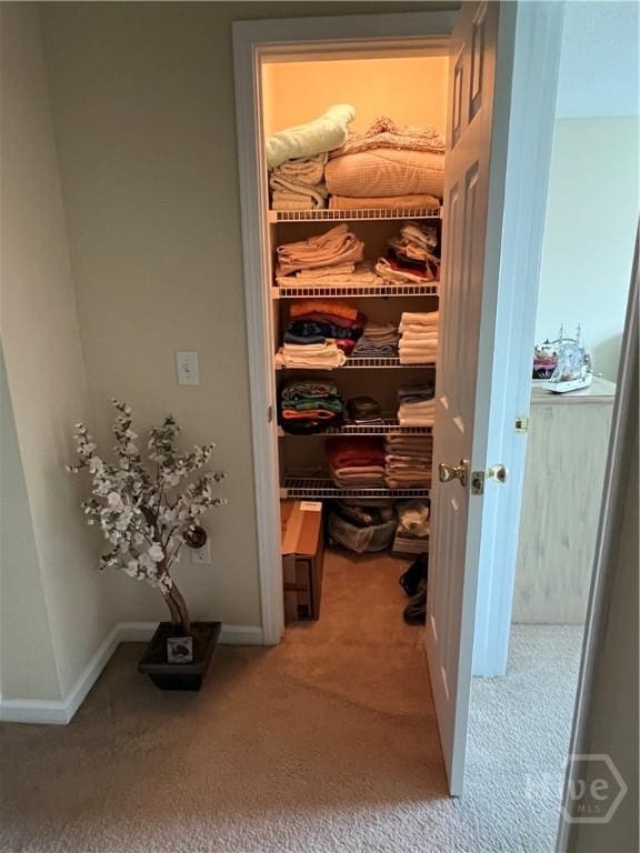 103 Travertine Cir, Savannah, GA 31419 - view of closet