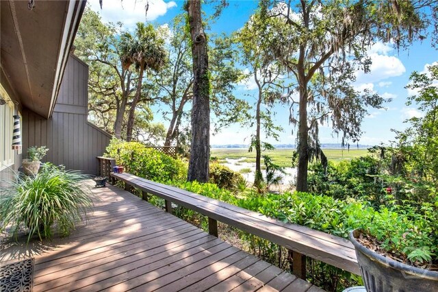 133 Brown Pelican Dr, Savannah, GA 31419 - photo 26