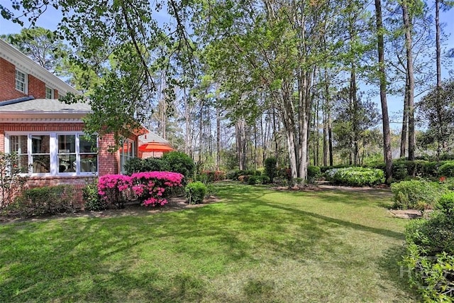 320 Wedgefield Xing, Savannah, GA 31405 - view of grassy yard