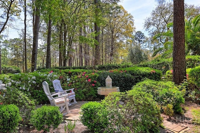 320 Wedgefield Xing, Savannah, GA 31405 - view of yard
