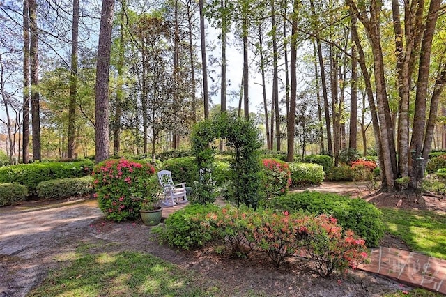 320 Wedgefield Xing, Savannah, GA 31405 - view of yard