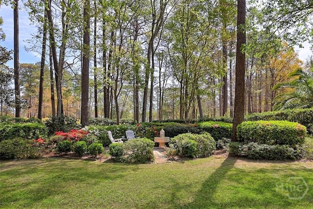 320 Wedgefield Xing, Savannah, GA 31405 - view of green lawn