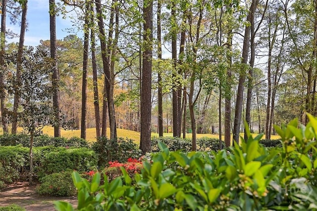 320 Wedgefield Xing, Savannah, GA 31405 - view of yard
