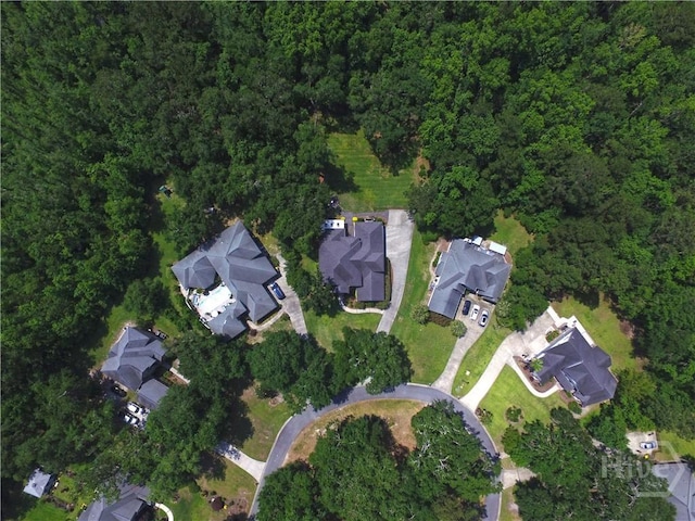 325 Shadow Moss Cir, Richmond Hill, GA 31324 - aerial overview of property's location with nearby suburban area