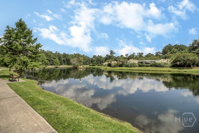 325 Shadow Moss Cir, Richmond Hill, GA 31324 - water view