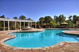 325 Shadow Moss Cir, Richmond Hill, GA 31324 - view of community pool