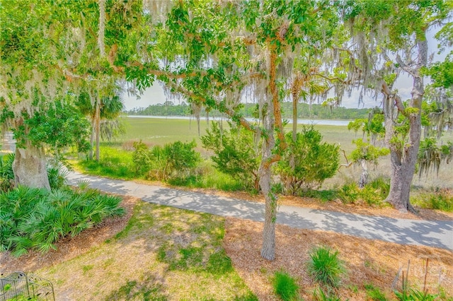 27 Mainsail Xing, Savannah, GA 31411 - view of yard
