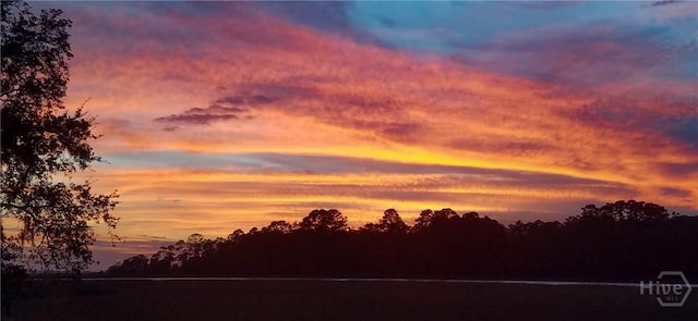 27 Mainsail Xing, Savannah, GA 31411 - view of nature
