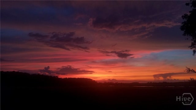 27 Mainsail Xing, Savannah, GA 31411 - view of nature at dusk