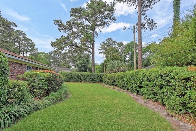 4715 Oakview Dr, Savannah, GA 31405 - view of green lawn