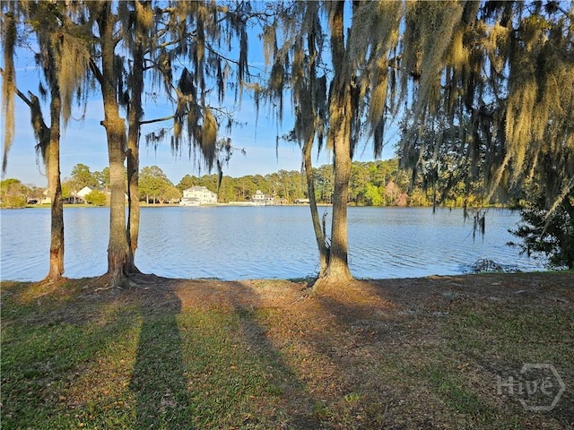 127 Lakeshore Dr, Savannah, GA 31419 - water view