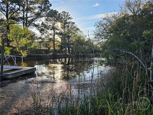 127 Lakeshore Dr, Savannah, GA 31419 - water view
